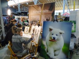 Haustiermesse am 1.03.2026